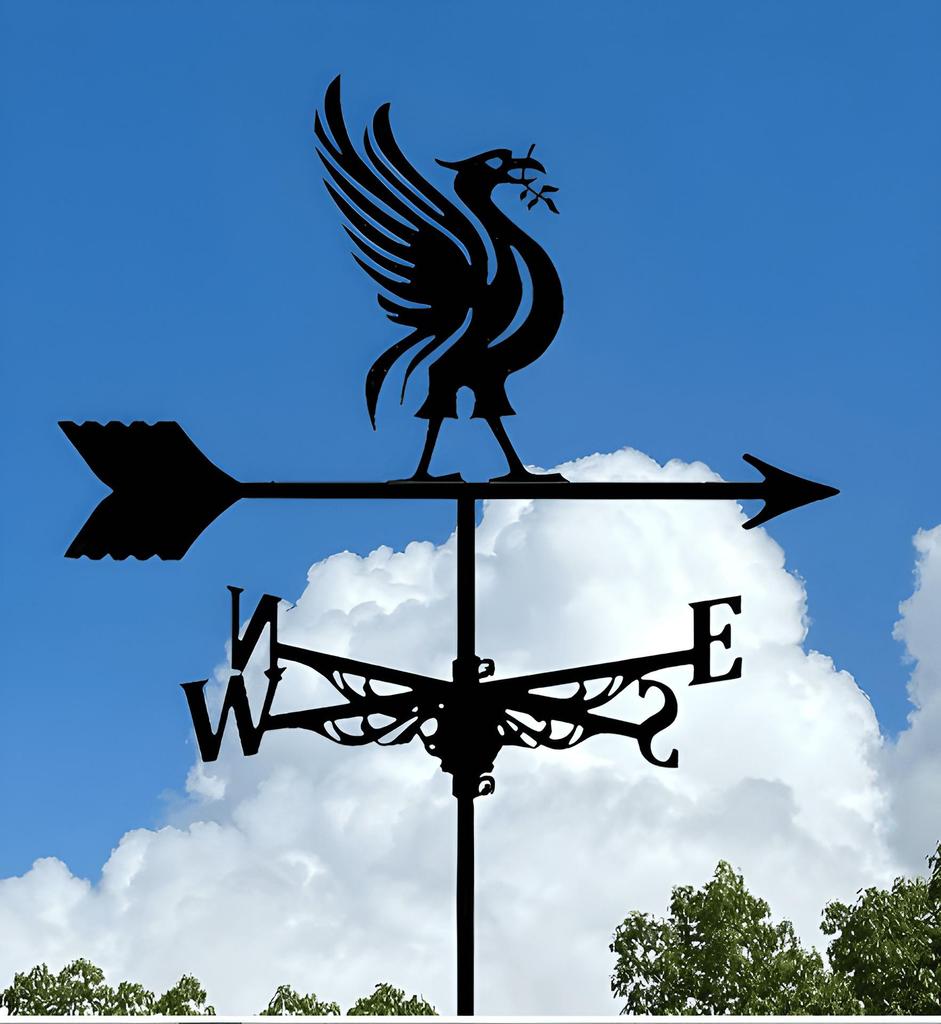 Decorative Iron Weather Vane - Outdoor Metal Roof Ornament