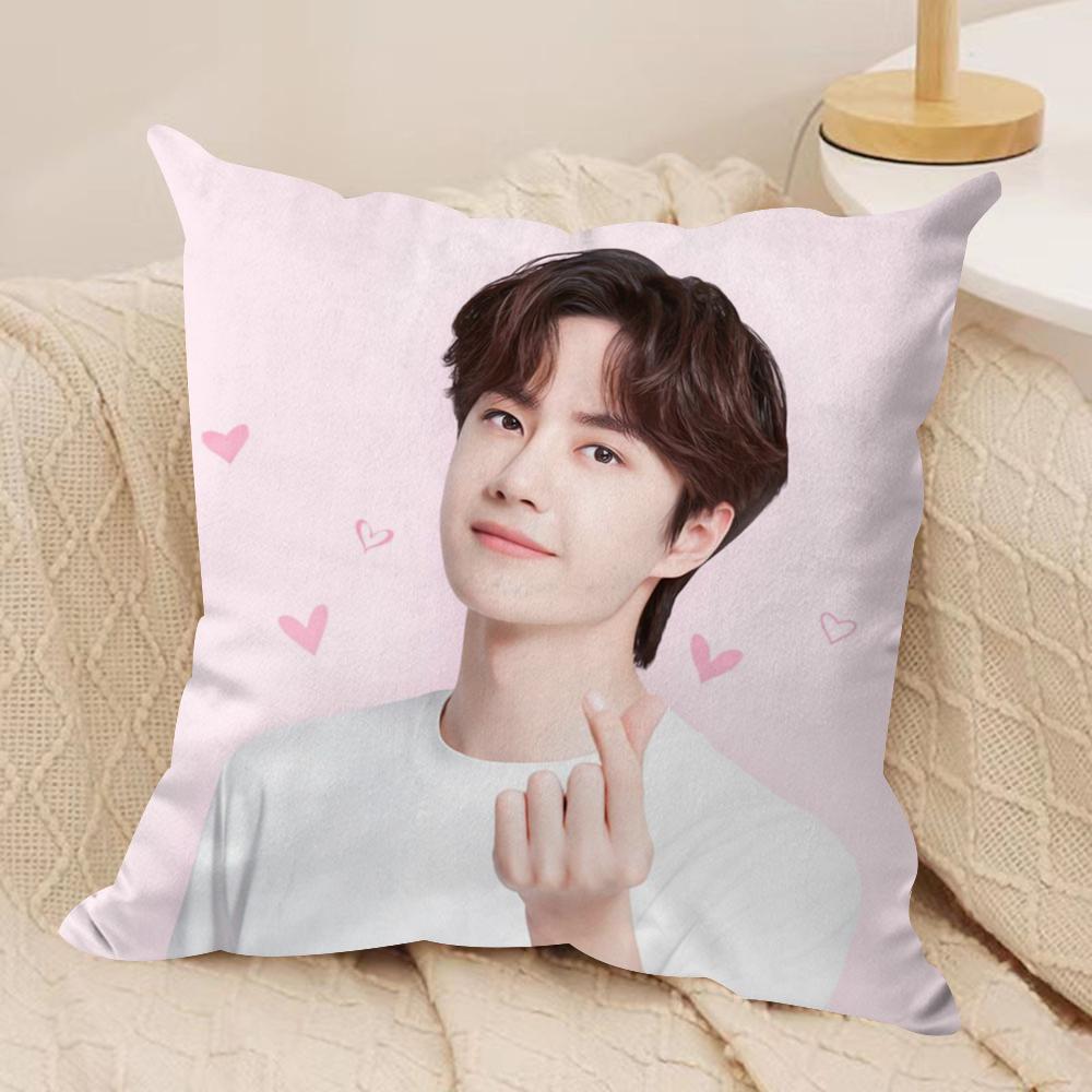 W-Wang Yibo Kissenbezug Weicher Plüschstoff Beidseitig Bedruckter Sofakissenbezug für Alle Jahreszeiten Heimdekoration Geschenk