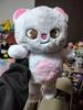 Big Kpop Stray Kids Plush Toy Kawaii Cartoon Stuffed Animal Plushie Doll Large Size Kids Babies Sleeping Pillow Gift
