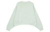 Nike Sportswear Collection Essentials Sweatshirt Women's Light Green DJ7666-017