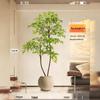 Large Indoor Potted Nandina Domestica Faux Plant - Luxury Green Décor for Living Room