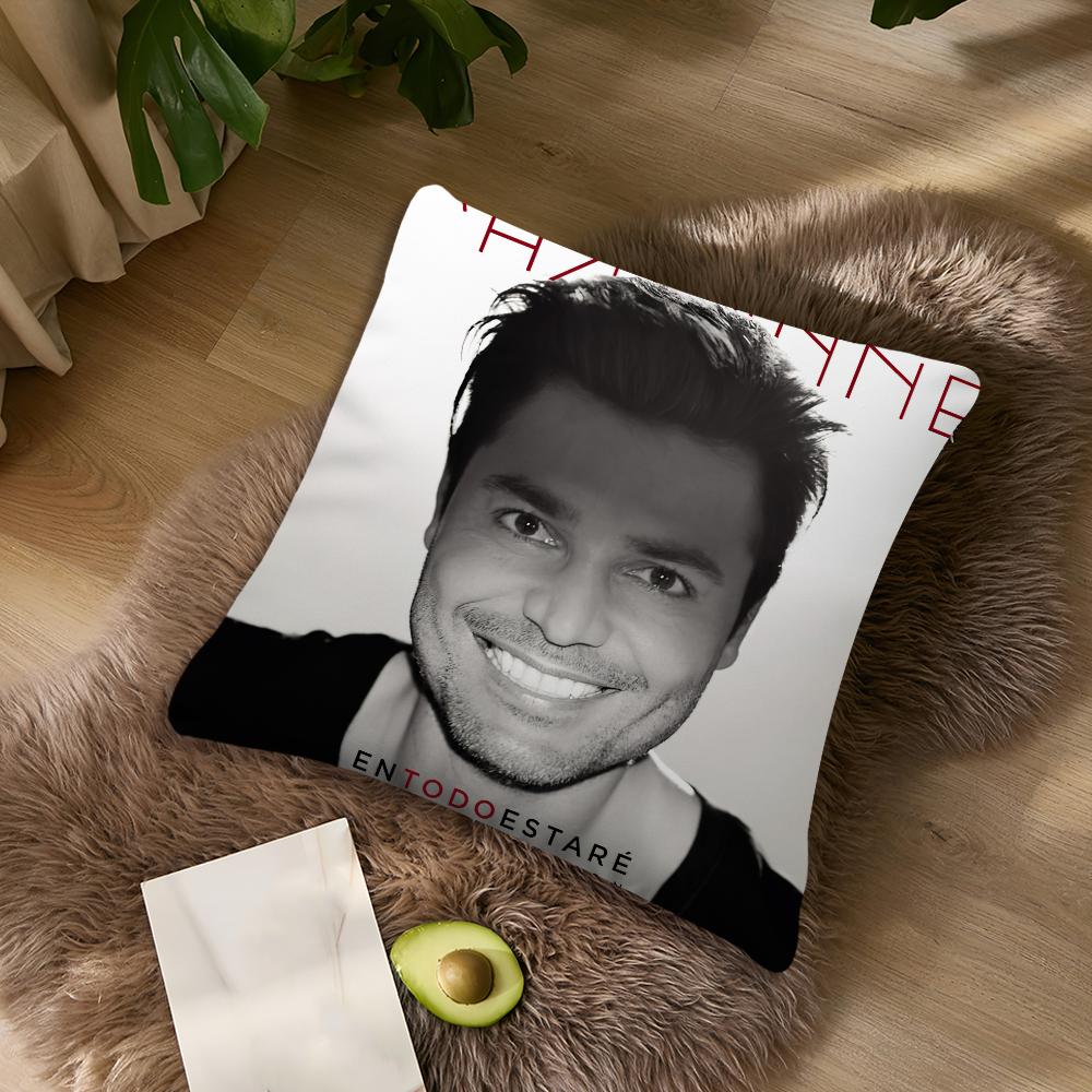 Singer C-Chayanne P-Puerto cushion cover Living Room Accent Couch Back Support Square Lounge Restful Nap Companion Pillow Case