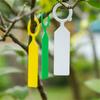 100Pcs Gardening Plant Labels Ring-shape Waterproof Hanging Tags Yard Orchard Trees Flowers Potted Plants Classification Sign