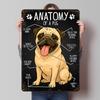 Anatomy of a Pug Funny Poster Customized Wall Art Vintage Metal Signs Retro Tin Plaque for Man Cave Bar Accessories House Room