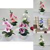 Butterfly Orchid Artificial Flower With Realistic Design For Home Decor And Photography Use