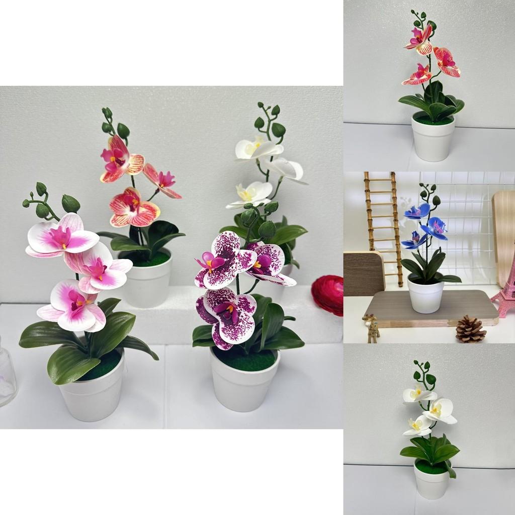 Butterfly Orchid Artificial Flower With Realistic Design For Home Decor And Photography Use