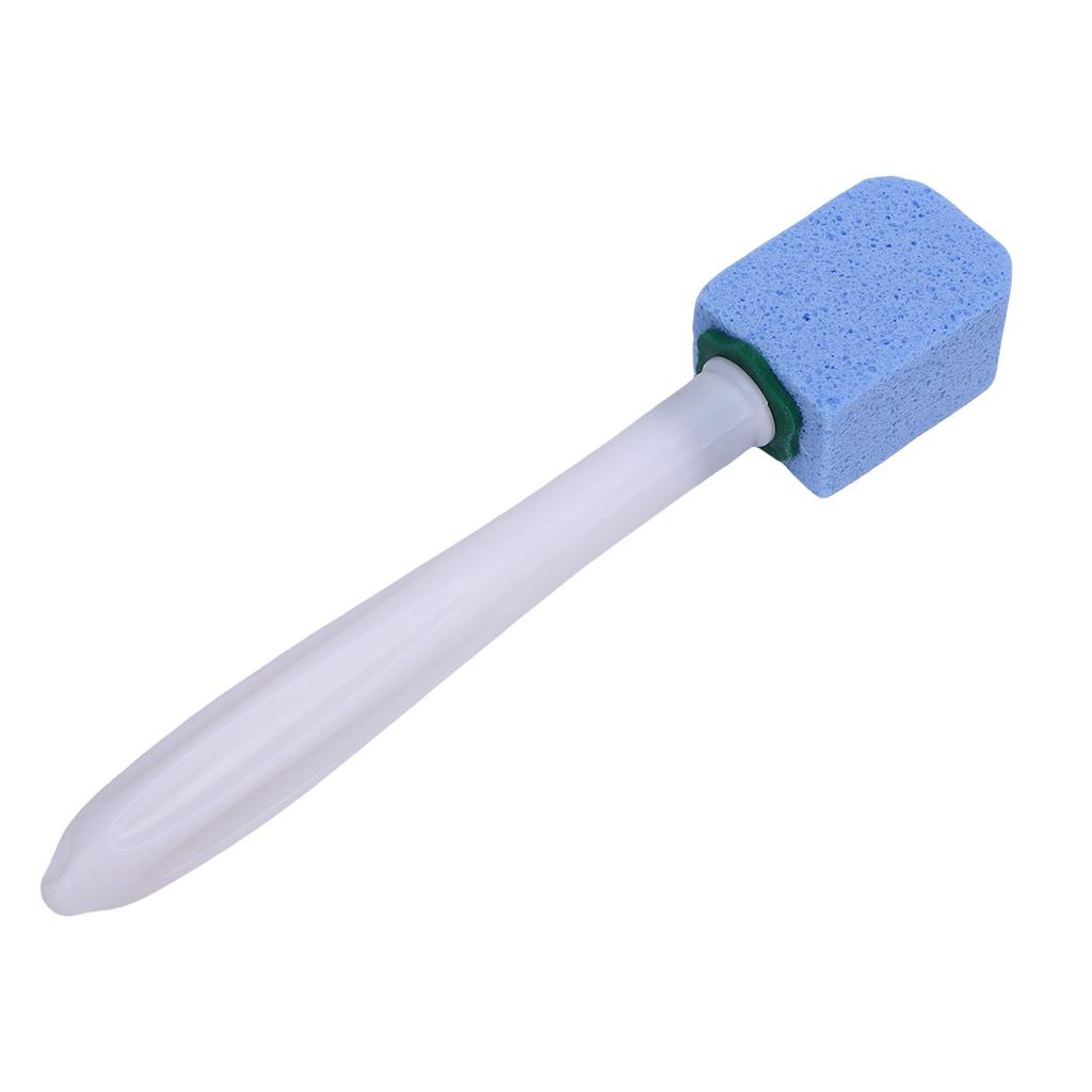 10Pcs Pumice Stone Cleaning Brush Multifunctional Bathroom Toilet Bowl Cleaner Brush with Long