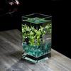 High Transparency Rectangular Glass Betta Fish Tank and Hydroponic Vase