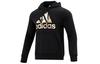 Sweatshirts Men's Black Hooded Moderate Regular GV2126