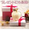Lucky Feng Good Crystal Gift [TradeWind] Apple, Shui, Fortune, Ornament, Suncatcher, (Blue)
