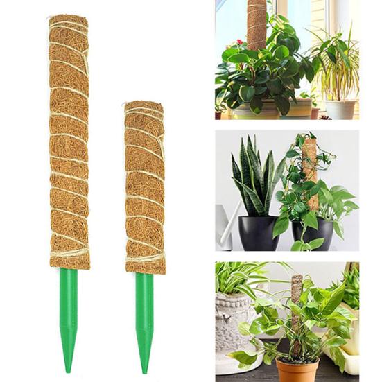 Anti-deform Plant Moss Stake Easy To Use Attractive Practical Moist-keeping Plant Climbing Stake