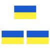 Stunning Blue Yellow 3x5 Ft Ukraine Flag For House Decoration