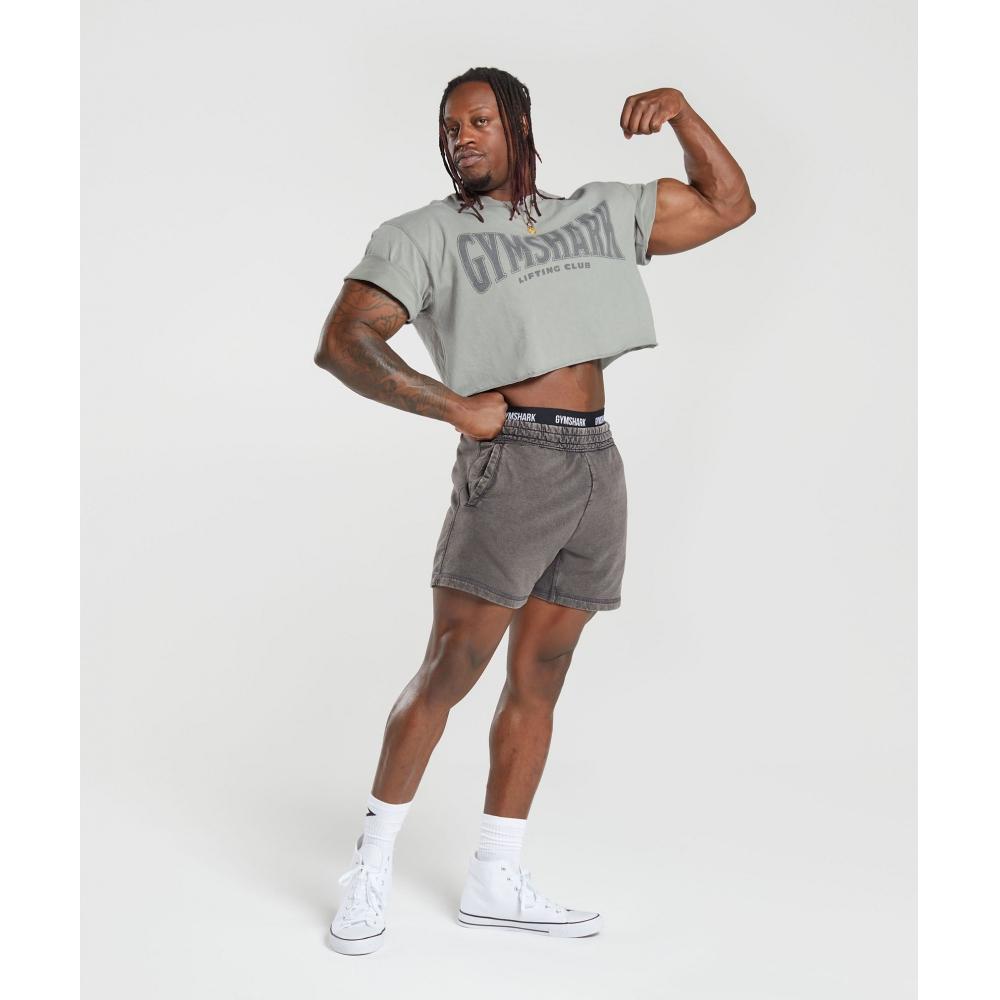 Gymshark Heritage 5 Shorts Onyx Grey A4a8k Gb8n