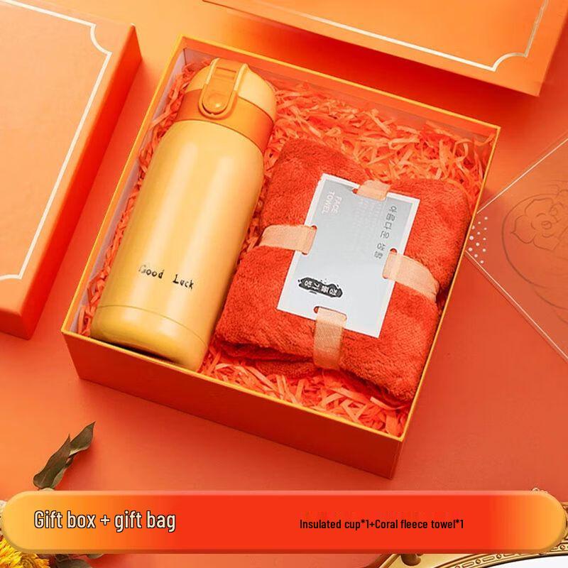 Insulated Stainless Steel Water Bottle