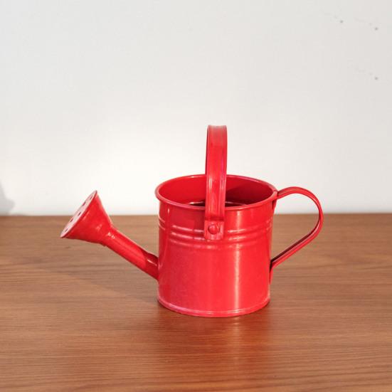 Metallgießkanne mit Brausekopf Langer Auslauf Gießkanne Kleine Gießkanne Indoor-Gartengerät für Zuhause Balkon Terrasse Büro Topfpflanzen