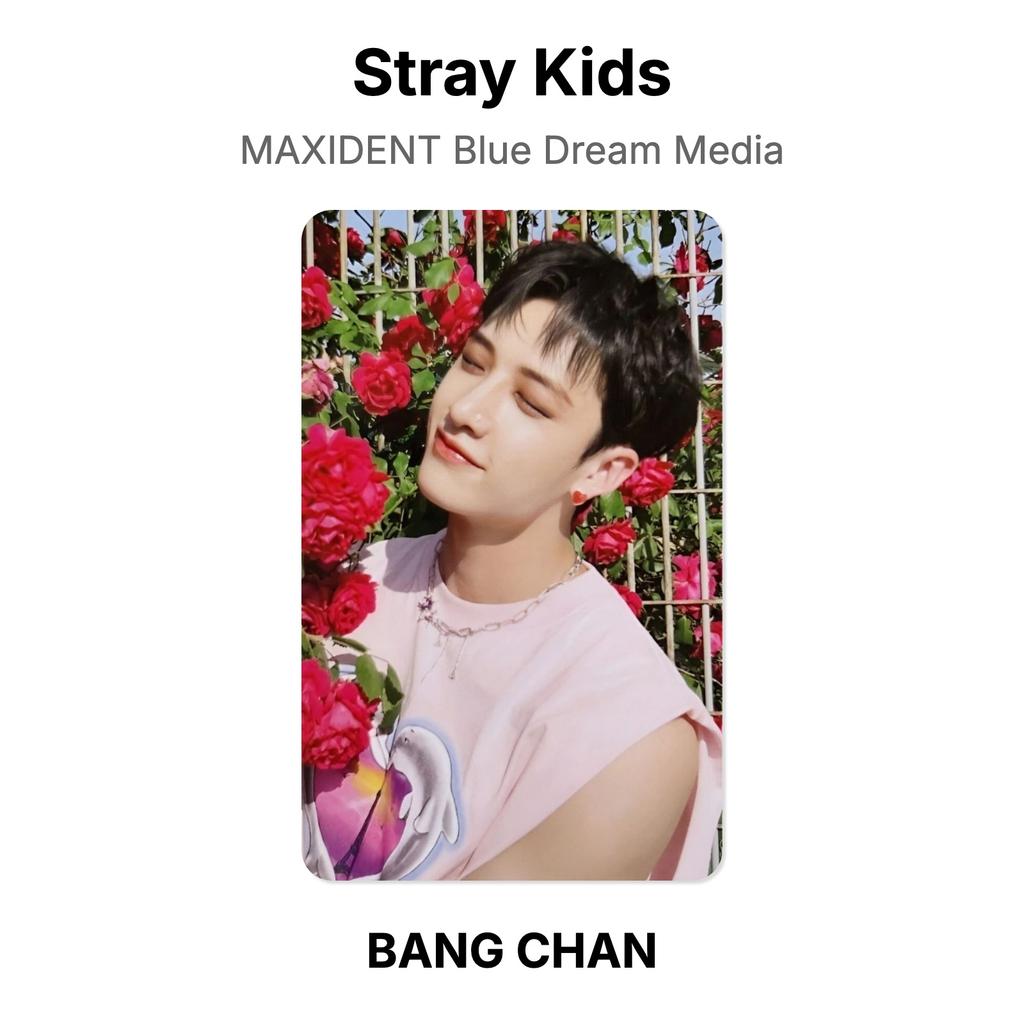 Stray Kids MAXIDENT Blue Dream Media Official Photocard