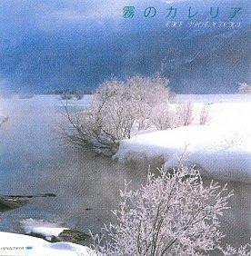 

CD SPOTNICKS - The Spotnicks H25W20104 Vavan Media 1989 Japan Rock Used