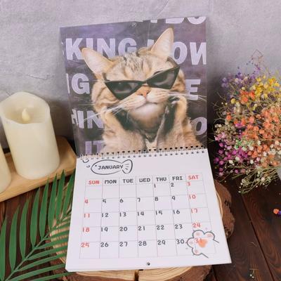 2026 Whimsical Cat Calendar Planner Monthly and Daily Organizer with Cute Cat Illustrations Cute Cat Themed Desktop Organizer