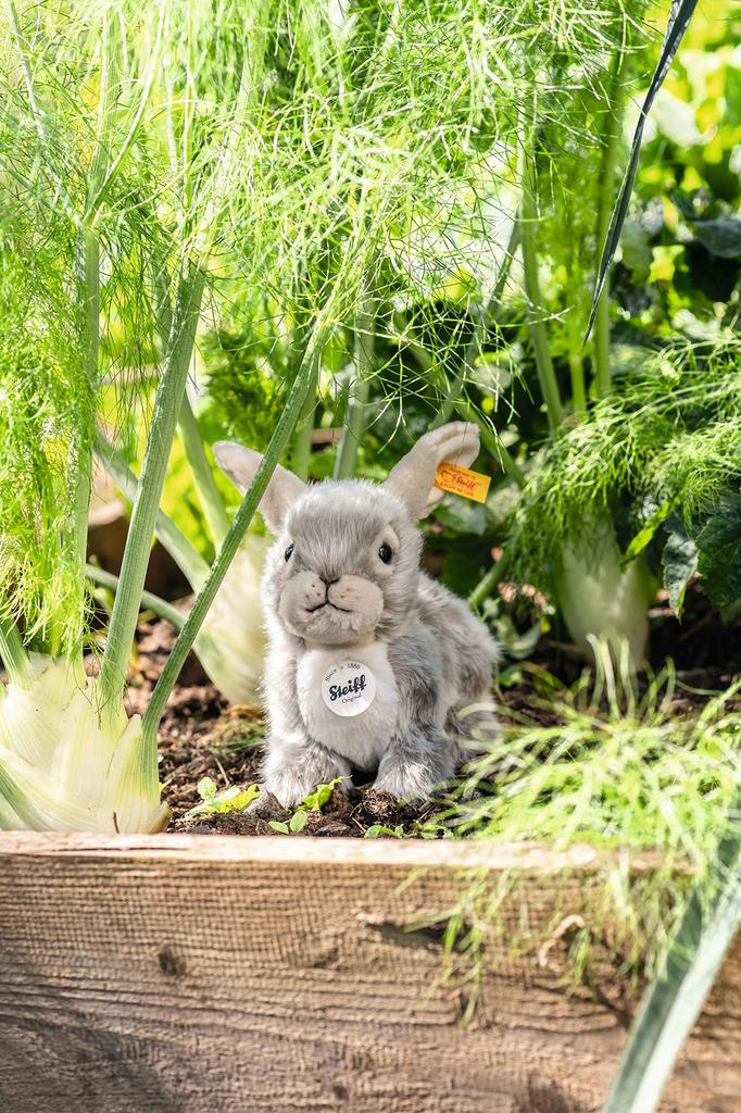 Steiff Dormile Rabbit 21cm 067488