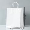Kraft Paper Gift Bags with Handles
