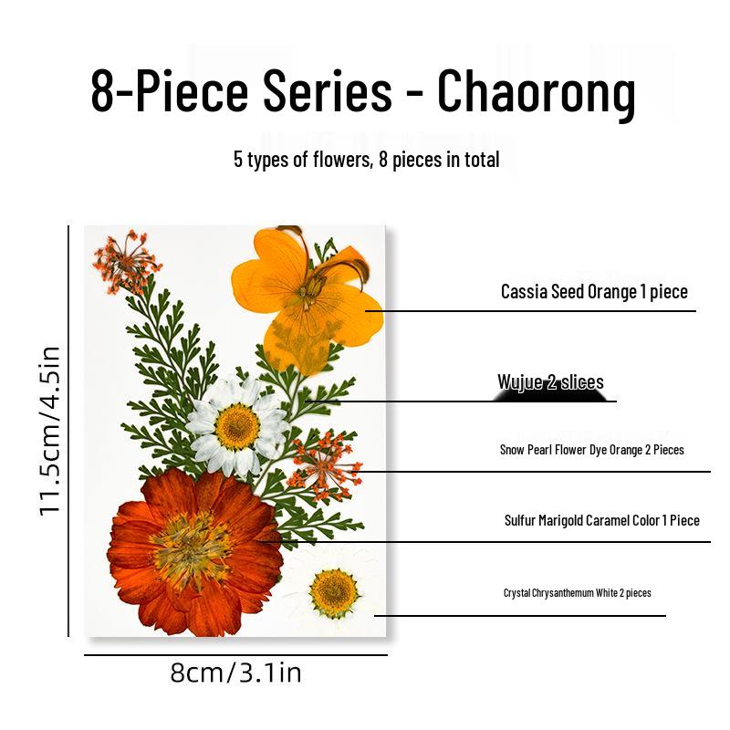 DIY Dried Flower Specimen Sticker Set for Kids: Handmade Pressed Flower Frames & Resin Bookmark Craft Kit