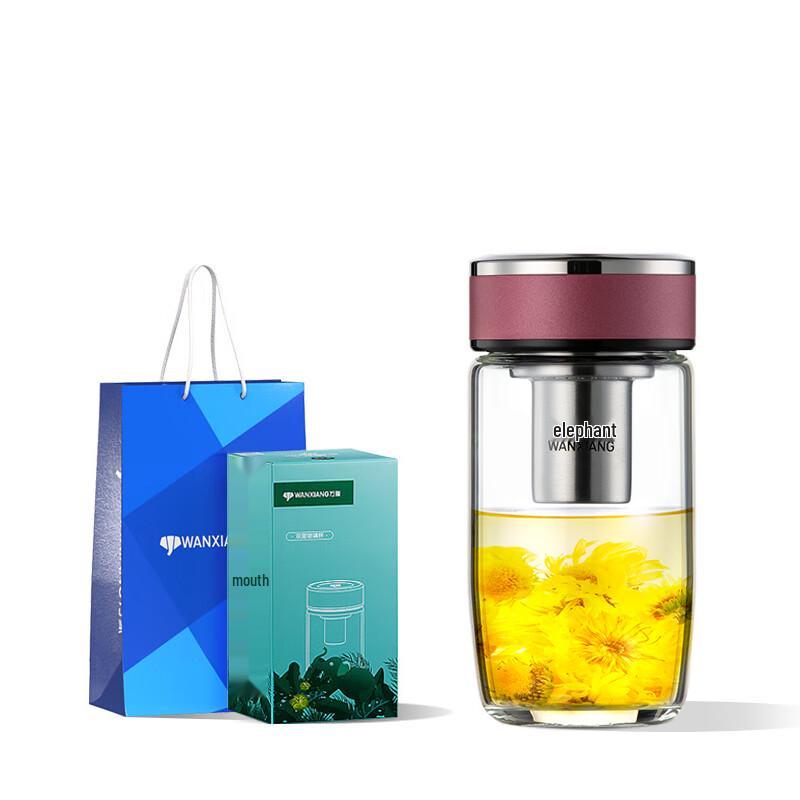 Portable Glass Tea Cup with Filter
