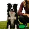 Silicone Dog Folding Bowl Large Capacity Pet Water Food Dish Collapsible Dog Bowl  Outdoor Walking