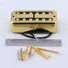 FLEOR Alnico II Electric Guitar Neck/Bridge Humbucker Pickup for FT Style Guitar, Chrome/Gold