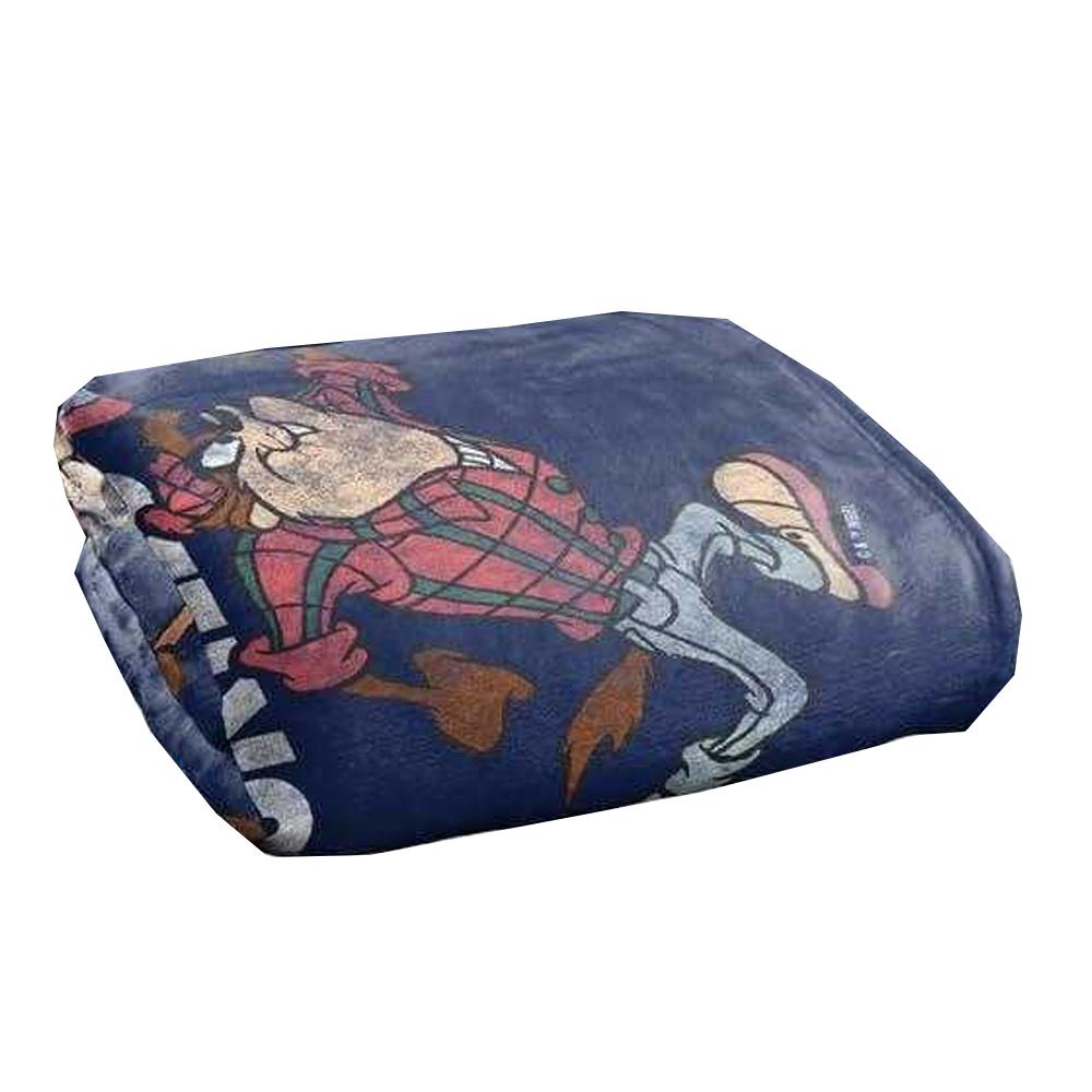 Looney Tunes Taz Dad Skills Fathers Day Blanket
