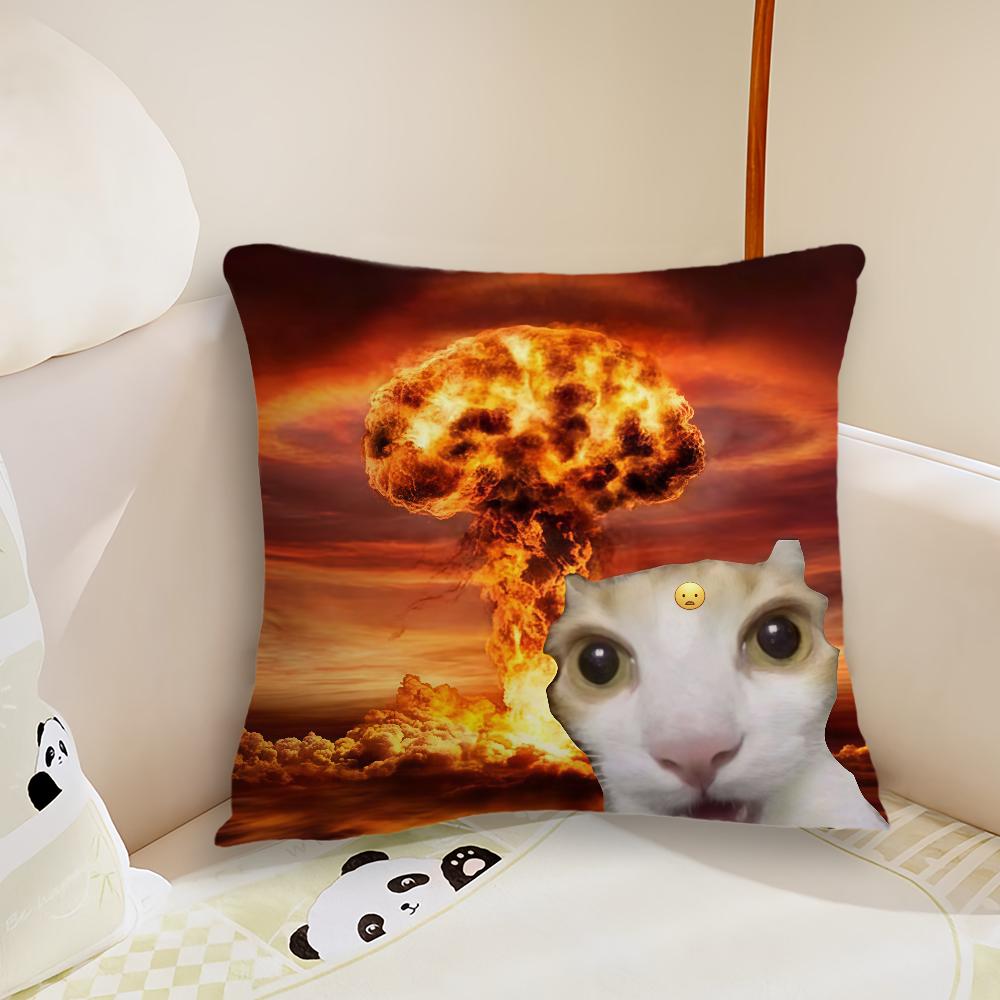 cat funny cushion cover Pillow Case Plush Fabric Soft Double Sided Print Sofa Cushion Cover Throw Pillow Covers