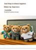 Ted2 Plush Teddy Bear Keychain Pendant - Stuffed Animal Comfort Doll Birthday Gift