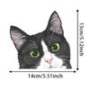 Set of 2 Black and White Curious Cat Car Stickers 5.5"x5.1" Cartoon Design Waterproof