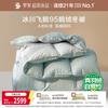 Home Textiles Anti-Mite 95% Goose Down Winter Quilt