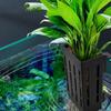Fish Tank Hydroponic Plant Basket Household Water Grass Planting Wall-Mounted Plant Planting Basket Fish Tank Landscaping Decor