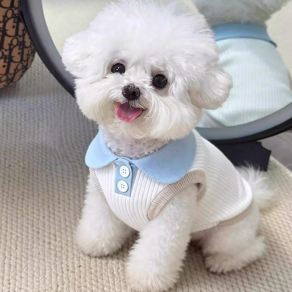 Breathable Puppy T-shirt Soft Pet Collar Vest Pet Shirts Apparel Pet Two Leg Clothes Pet Wear