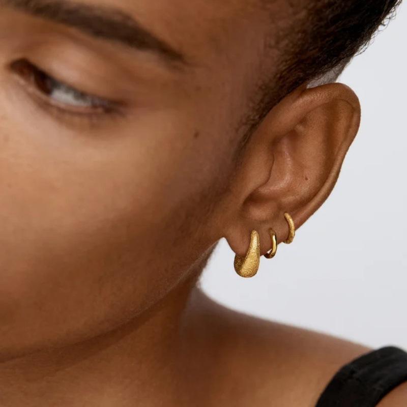 Simple Matte Texture Earrings Light Luxury Niche Design S925 Silver Needle Earrings Exquisite Trendy Temperament Earrings