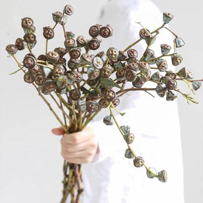 Καρπός Ευκαλύπτου & Μετάξι Λουλούδι του Γιουνάν: Εύκολα Φροντιζόμενα, Μακρόχρονα Άνθη για Γάμους