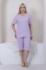 Women's Style Plus Size Pajama Set Pink Big Size Capri Pajama Set