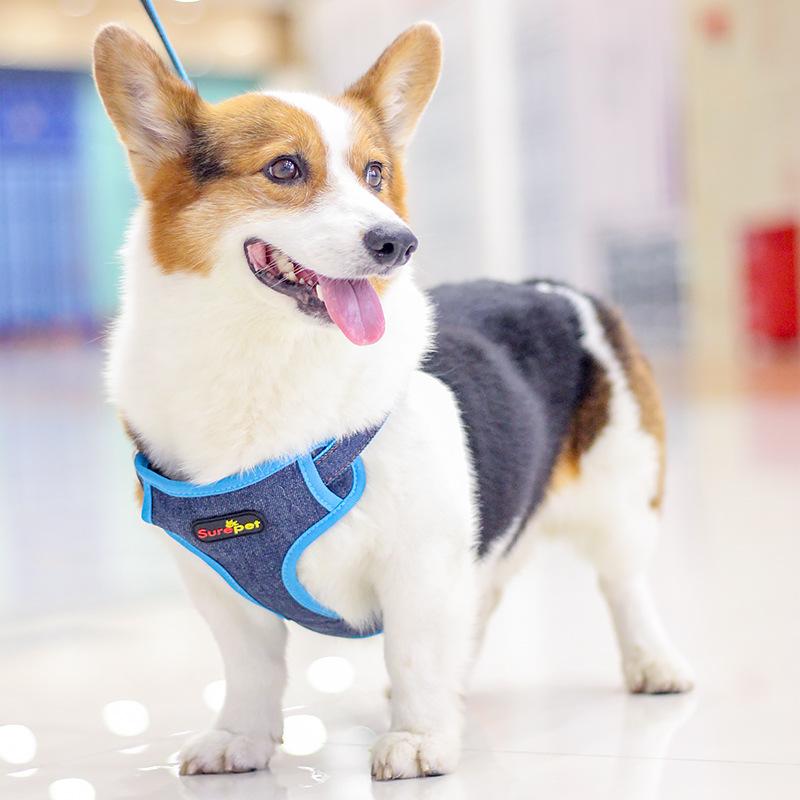 cowboy vest for dogs