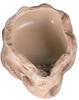 Terrarium Bowl for Water and Food for Snake, Agama, Gecko, Tortoise 11x8x3cm