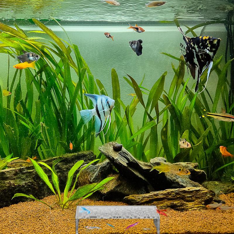 

Креветочная пещера Акриловый креветочный туннель Аквариумное креветочное укрытие Прозрачная пещера Декор для креветочного аквариума Аквариумный туннель для разведения креветок CHINA