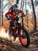 DUOTTS N26 1500W Dual Motor Electric Bike 48V20Ah Samsung Battery 120KM Range 55km/h Fat Tire E-Bike