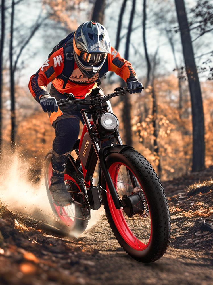 DUOTTS N26 1500W Dual Motor Electric Bike 48V20Ah Samsung Battery 120KM Range 55km/h Fat Tire E-Bike