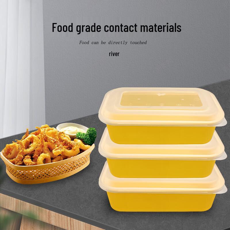 Disposable Japanese Style Rectangular Meal Box