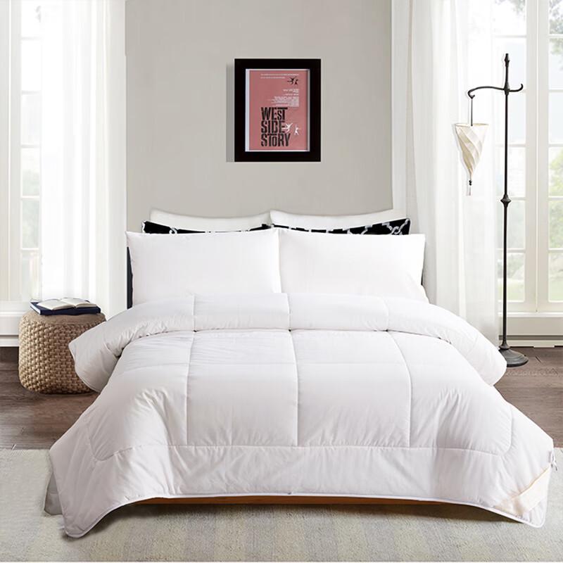 

Mercury Home Textiles All-Season Double Fiber Quilt