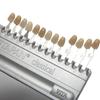 Dental Equipment Teeth Whiting Porcelain Vita Pan Classical 16 Colors Guide Vita Tooth Model Colorimetric Plate Model