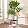 Simple Floor-standing Multi-tier Iron Plant Rack