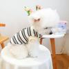 PETCIRCLE Black & White Striped Pet Vest & Leash for Dogs and Cats