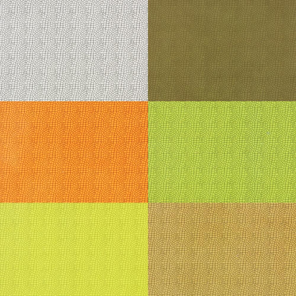 Matériau d'aile d'insecte réaliste - Biomimétique et imperméable - Enveloppe corporelle pour le montage de mouches - Pour les nymphes, les éphémères, les plécoptères, les leurres de pêche pour la truite et l'ombre