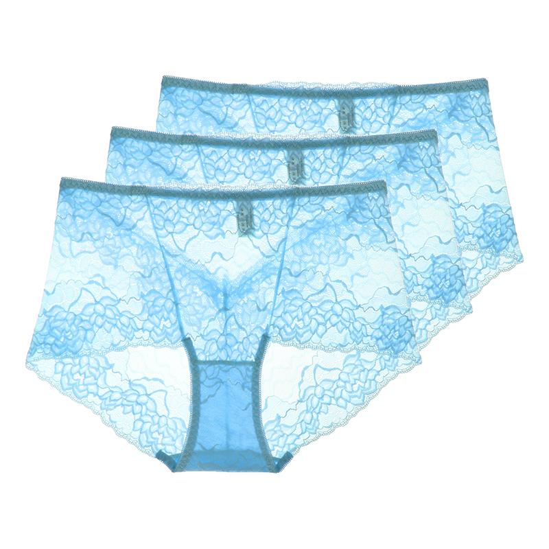 3 Pezzi Lingerie Sexy da Donna Vita Alta Slip in Pizzo Rete Trasparente Boyshorts Slip da Donna